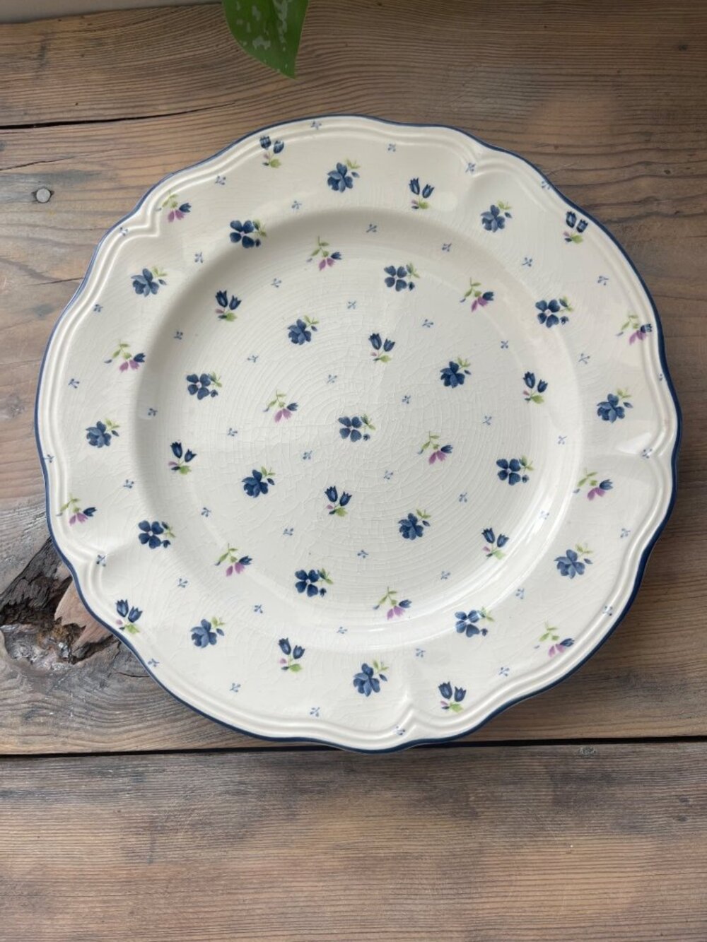Sears Vintage Enchantment Ironstone Dinner Plate Blue Dainty Floral Scalloped Tr